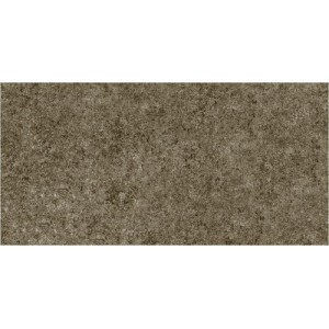 Gạch ốp tường Trường Thịnh LIFESTONE TT36155